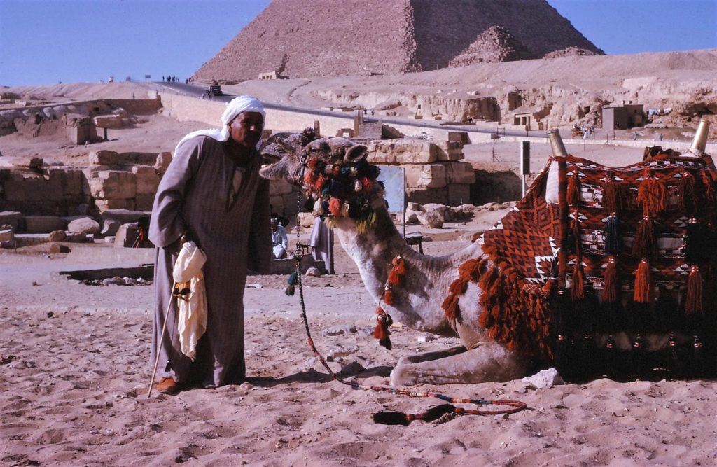   My two visits to Egypt in 1961 and 1965 were hugely educational. Guides have been guiding tourists at the pyramids since at least the time of Herodotus.  This guide named his camel "Canada Dry"
