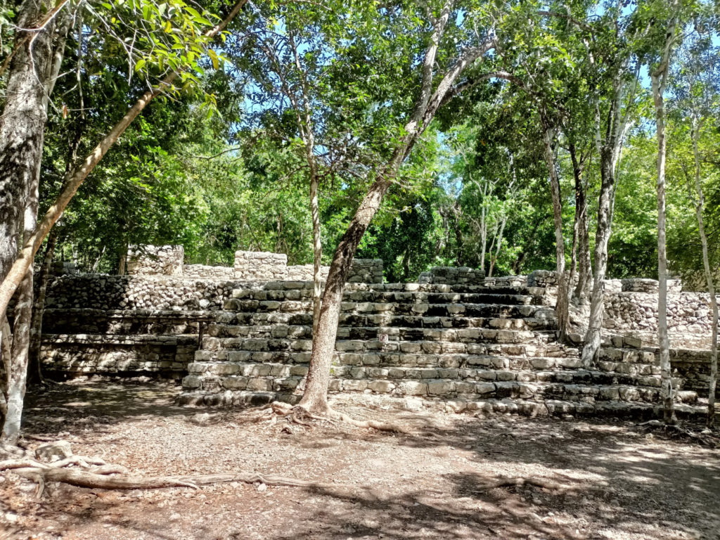 The ruins of Coba are surrounded by vegetation.
