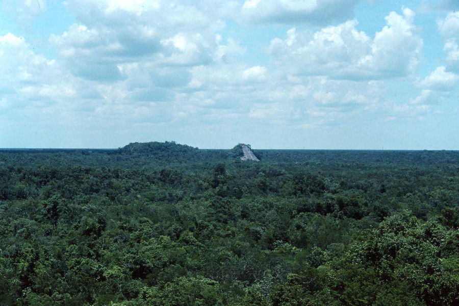 Nohoch Mul pyramid as it looked in 1991 from it distant pyramid neighbor