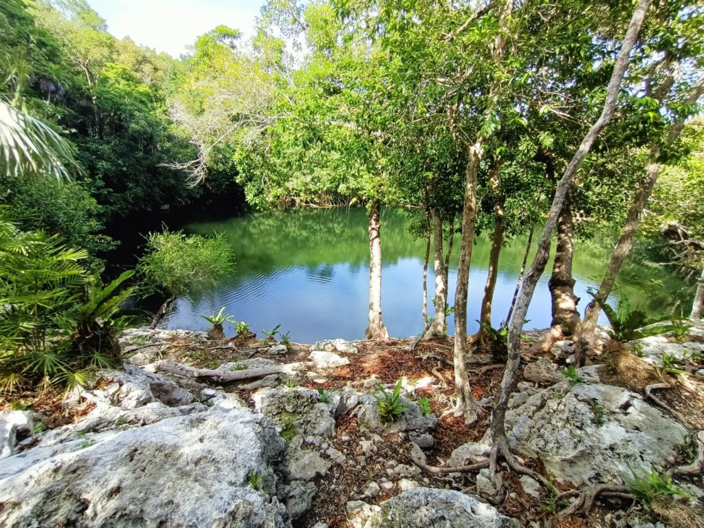 beautiful cenote at Xel-Ha