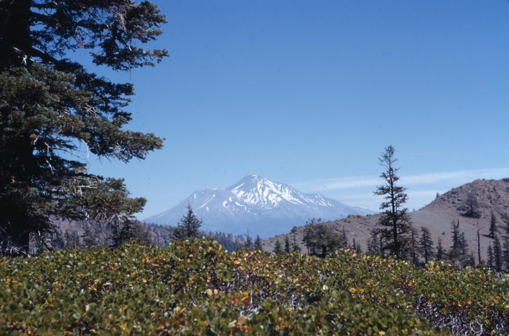 Mt. Shasta towers over the surrounding landscape.